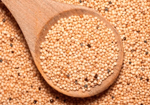 Organic Amaranth Grain