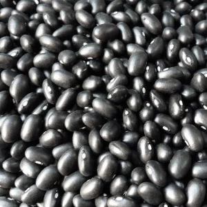 ORG BLACK SOY BEANS