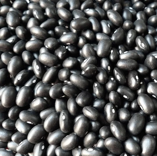 Organic Black Soybeans