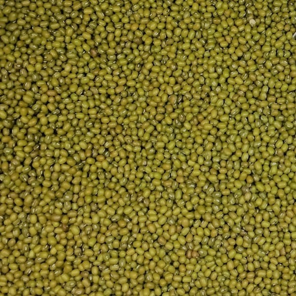 ORG MUNG BEANS