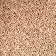 ORG PEARL BARLEY