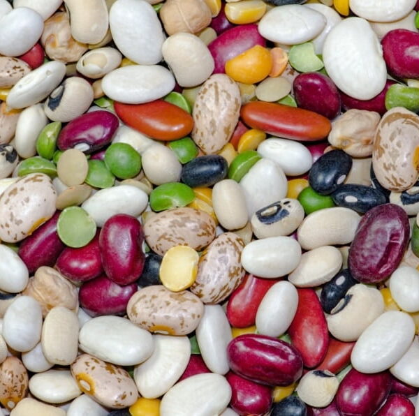 Organic Soup Beans Mix