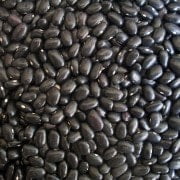 black-beans-14522