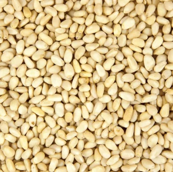Pine Nut