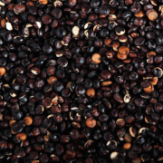 Organic Black Quinoa