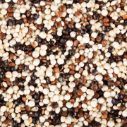 Organic Tricolor Quinoa